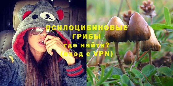 ешки Абинск