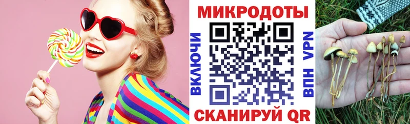 Галлюциногенные грибы мицелий  закладки  Химки 