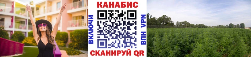 МЕГА ссылки  Химки  мориарти как зайти  Канабис SATIVA & INDICA 